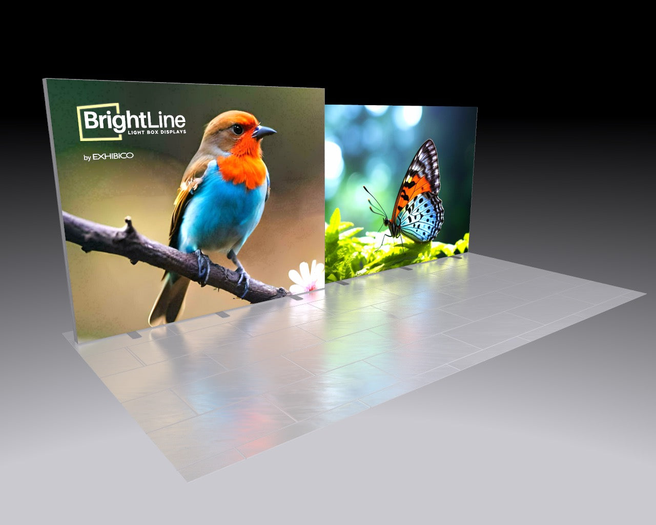 20ft BrightLine - Kit VF