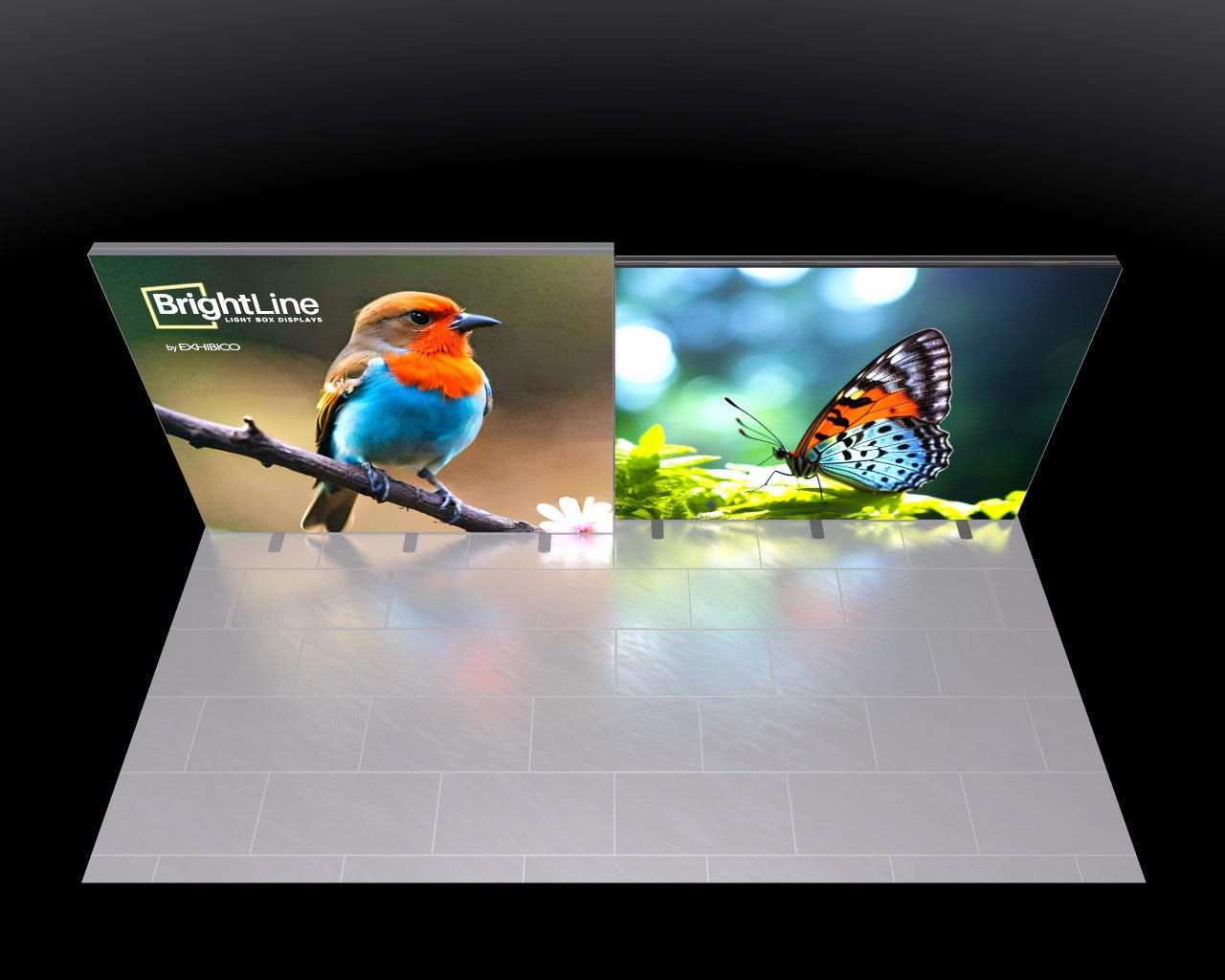 20ft BrightLine - Kit VF