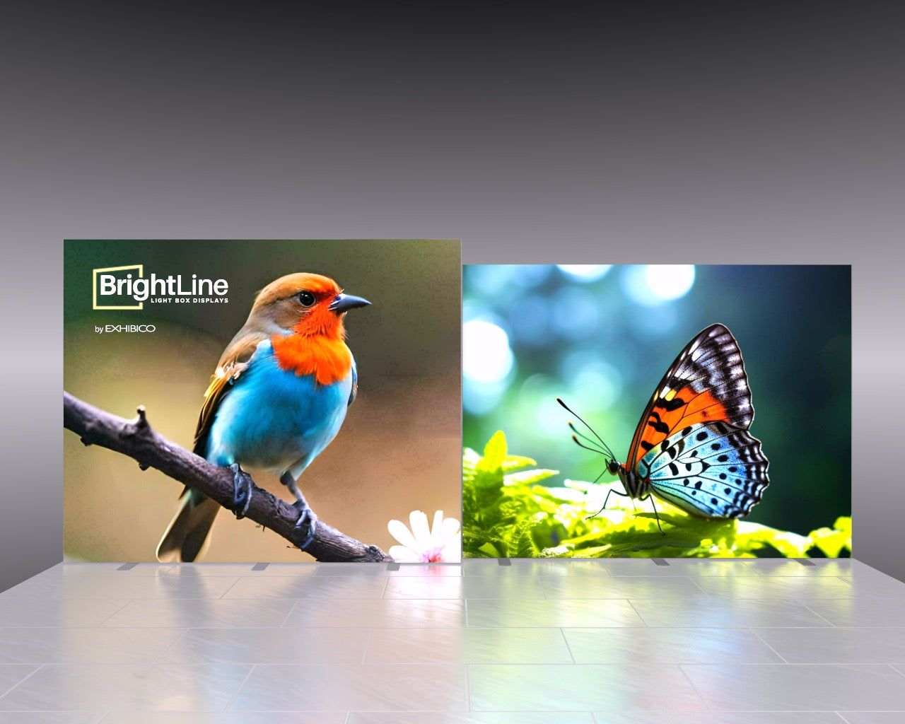 20ft BrightLine - Kit VF