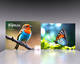 20ft BrightLine - Kit VF